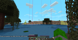 How to See Chunks in Minecraft
