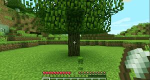 How to Get Oak Leaves in Minecraft